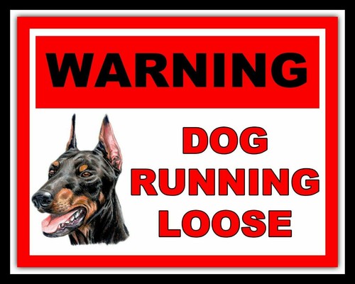 Warning dog running loose - dog,
