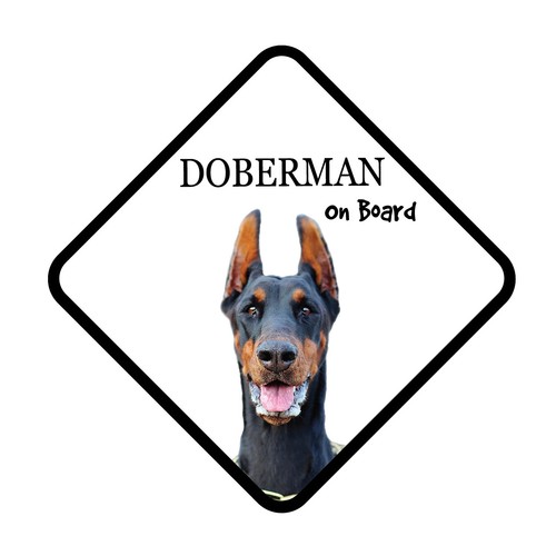Doberman dog board car - dog,