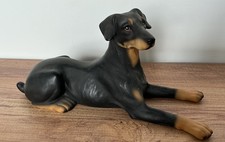 Harvey Knox HHH Doberman