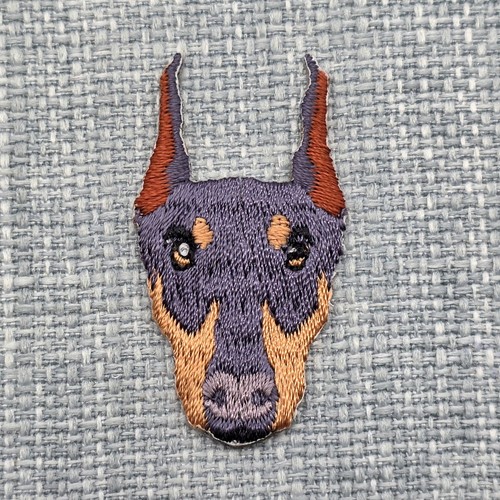 Doberman pinscher dog - doberman,