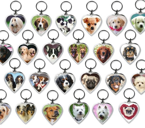 Dog keyrings heart shape - dog, pug