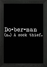 Doberman A Sock Thief Framed