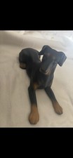 Doberman Pinscher Dog Figure